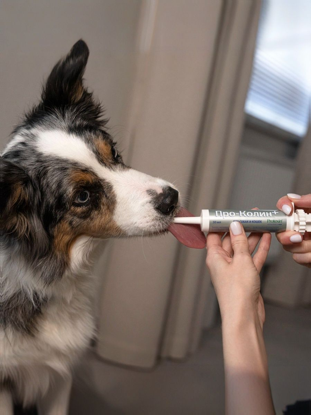 Пробиотик Protexin Pro-Kolin для собак и кошек паста для лечения диареи и нормализации пищеварения, 30 мл