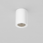 Потолочный светильник Technical C001CL-GU10-W