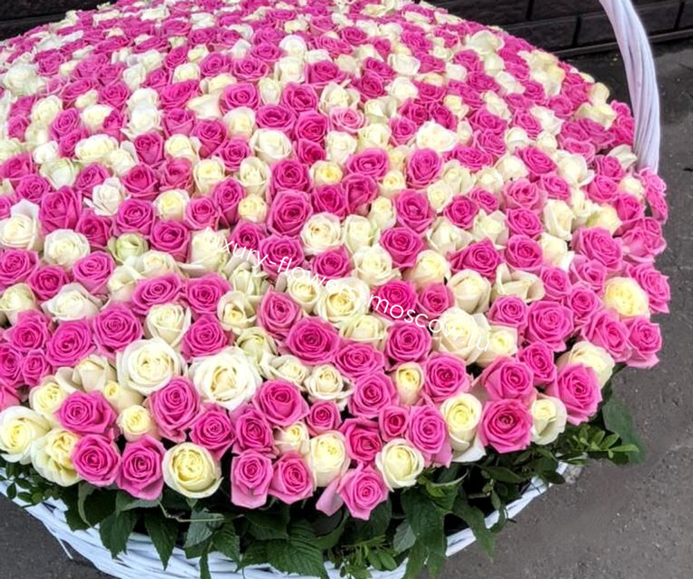 501 белая и розовая в корзине