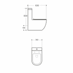 Унитаз-моноблок безободковый WAVE ZEN Tornado3.0, гор,ниж,2-кн.арм,сид.дюро,м/л,быстр,БЕЛЫЙ глянец