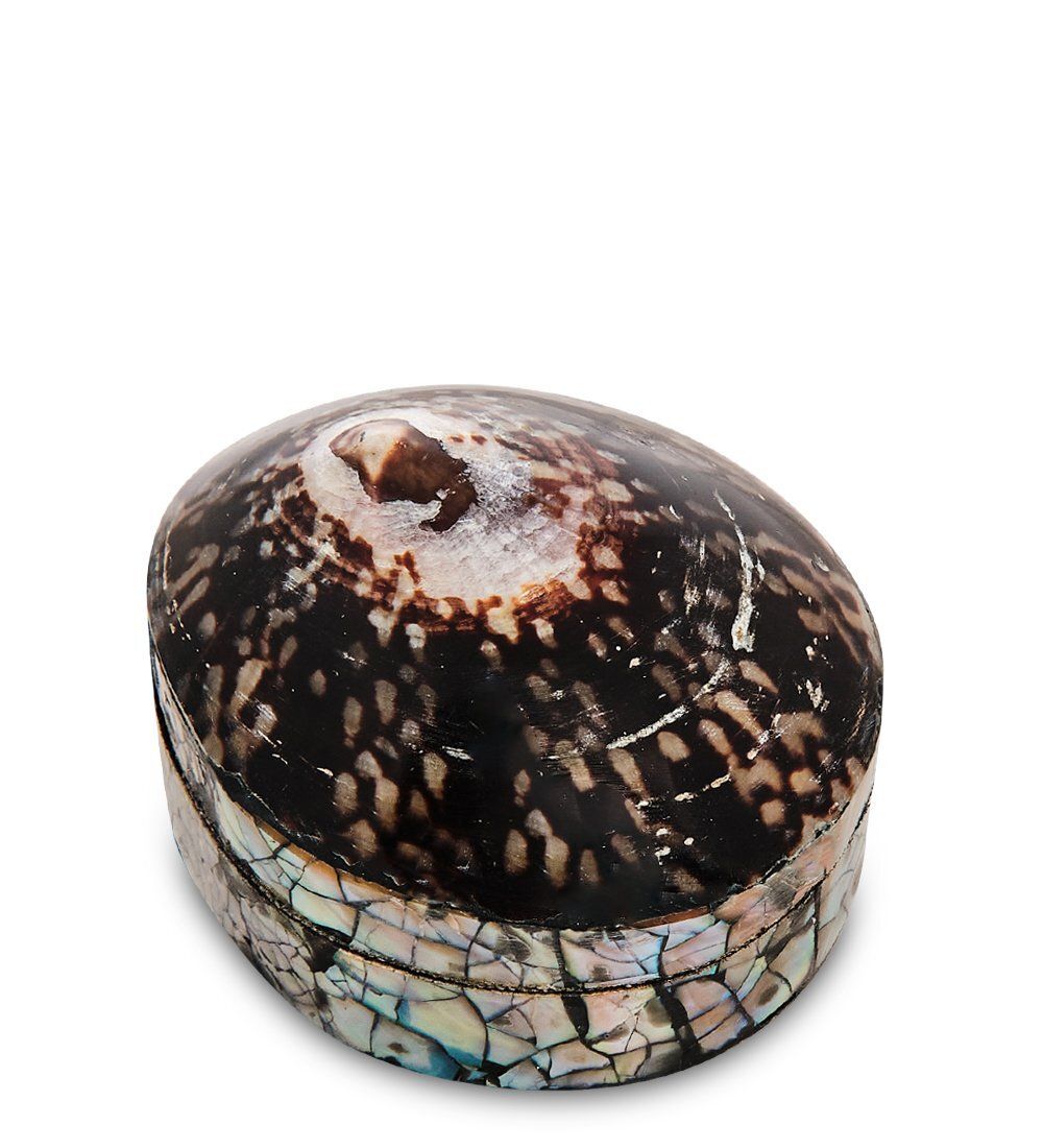 Decor and Gift 54-040 Декоративная шкатулка «Ракушка»