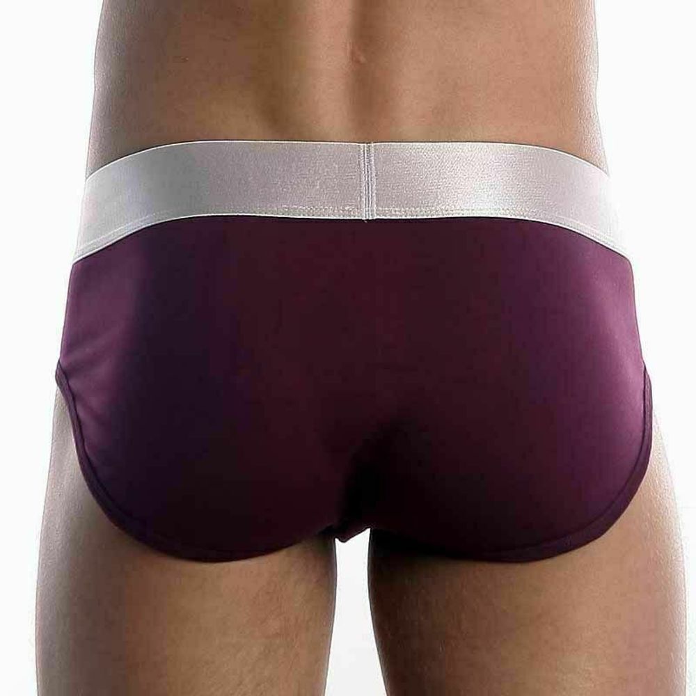 Мужские трусы брифы Calvin Klein Brief Steel Purple