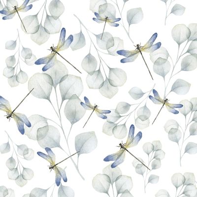 Ветка эвкалипта со стрекозой