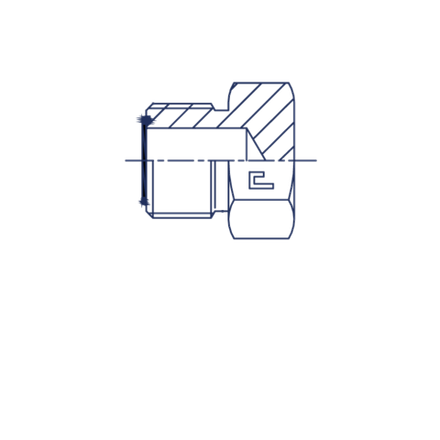 Заглушка V (Ш) ORFS 1.11/16-12