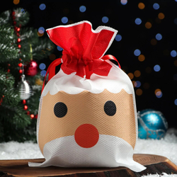 Мешок подарочный "Дед мороз", 22x31 см
