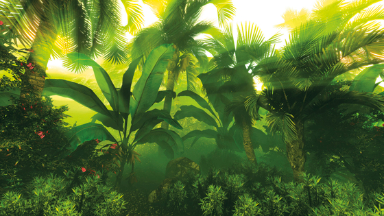 Коллекция Тропическое