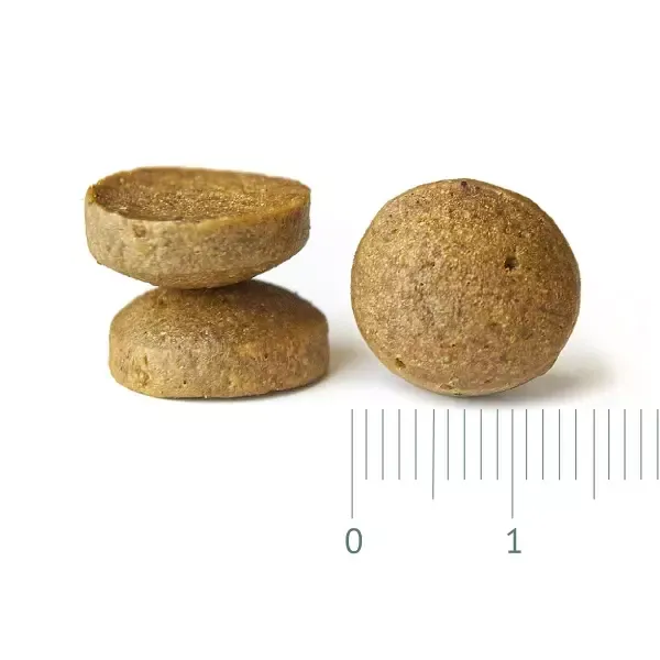 Сухой корм Fealdon Medium Adult Lamb для взрослых собак средних пород, с ягненком