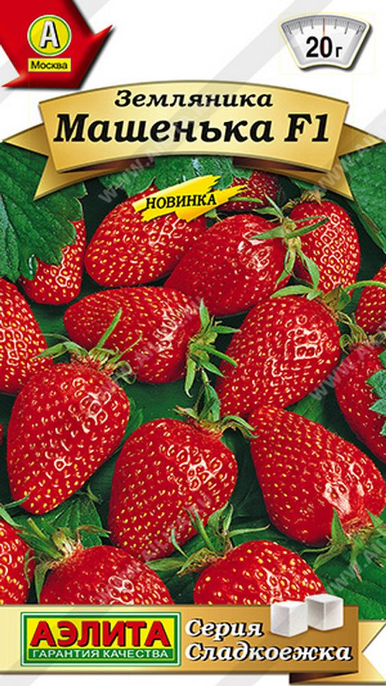 Земляника "СТ. Машенька F1" 10шт., Россия. Земляника "СТ. Машенька F1" 10шт., Россия.