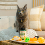 NOW Foods, Pets, поддержка суставов для собак и кошек, 90 жевательных таблеток, 126 г (4,44 унции)