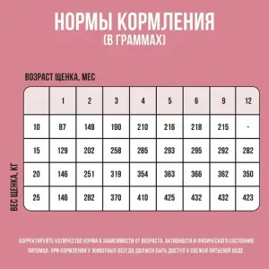 Сухой корм BOWL WOW для щенков средних пород со свежим ягненком, индейкой, рисом и брусникой Сухой корм BOWL WOW для щенков средних пород со свежим ягненком, индейкой, рисом и брусникой