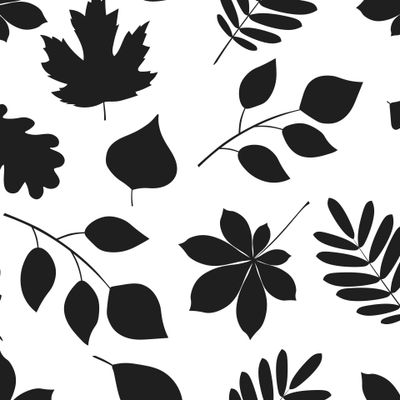 Осенние листья силуэты