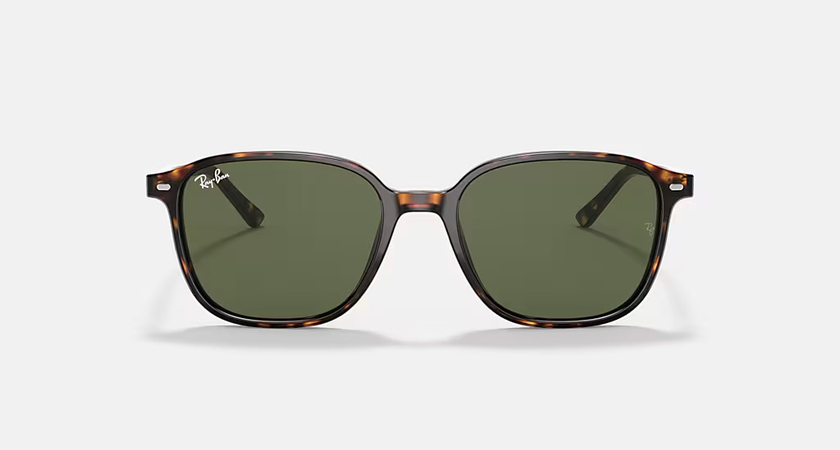 RAY-BAN LEONARD RB2193 902/31