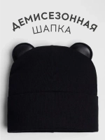 Шапка для мальчика осенняя с ушками