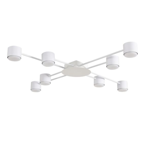 Светильник потолочный Lumion BENUA 8305/8C
