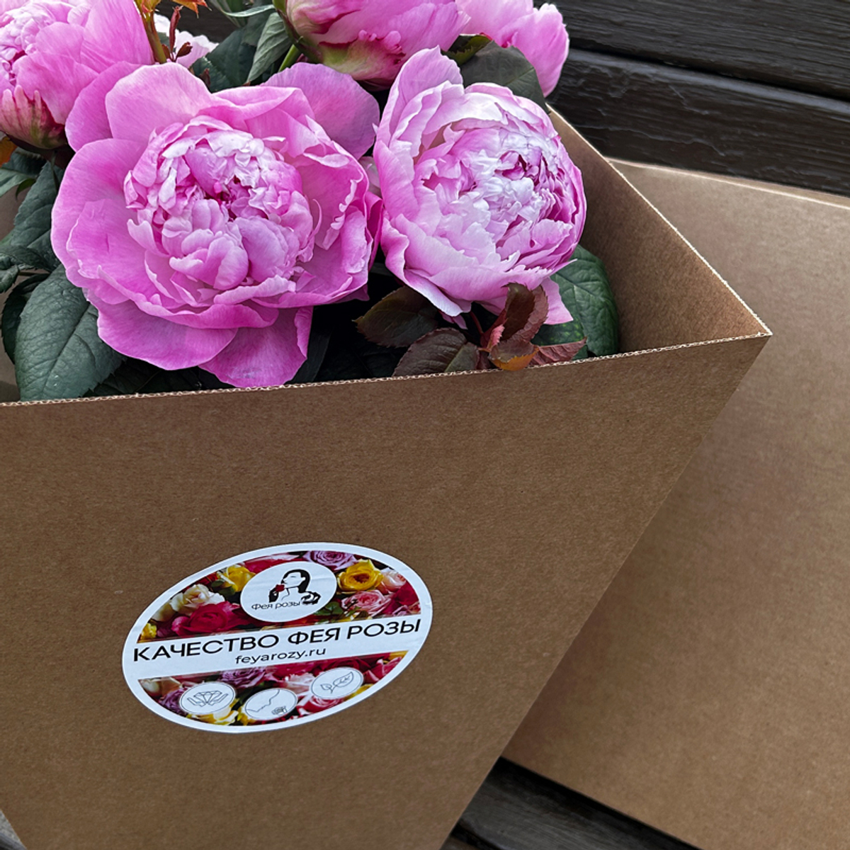 ♛ Композиция ароматных пионов — d ~ 25 см — в коробке — 8 марта у Феи