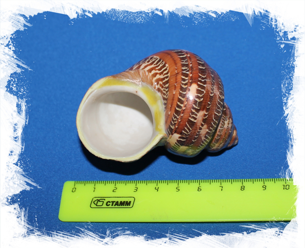 Турбо Гобеленовый размер