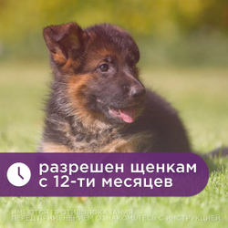 Марфлоксин KRKA, таблетки, антибактериальный препарат для собак и кошек, 20 мг, 10 шт.