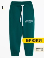 Спортивные штаны для мальчика для школы