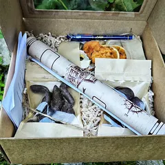 Игра для всей семьи и карта-квест «Чудо-Юдо Рыба-Кит» / 1 шт Игра для всей семьи и карта-квест «Чудо-Юдо Рыба-Кит» / 1 шт