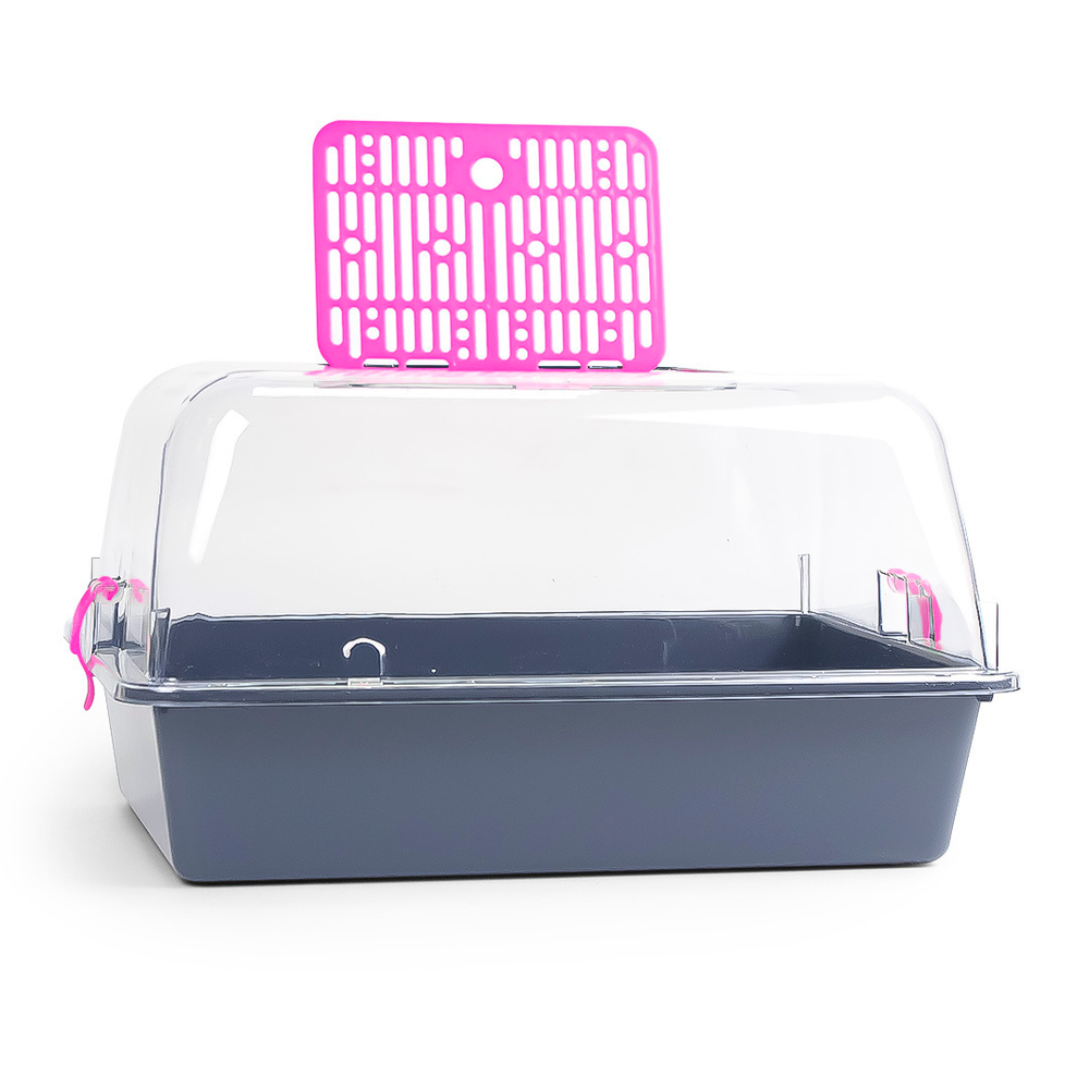 Террариум ZOOSET прозрачный серый/сиреневый - L (42х30,5х22,5 см)