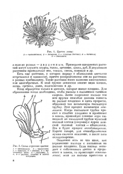 Медоносные растения | М.М. Глухов