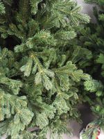 Ель с шишками «Чарующая» (Литая хвоя) 240 см / 2.4 м