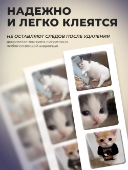 3д стикеры на телефон и чехол мемные котики