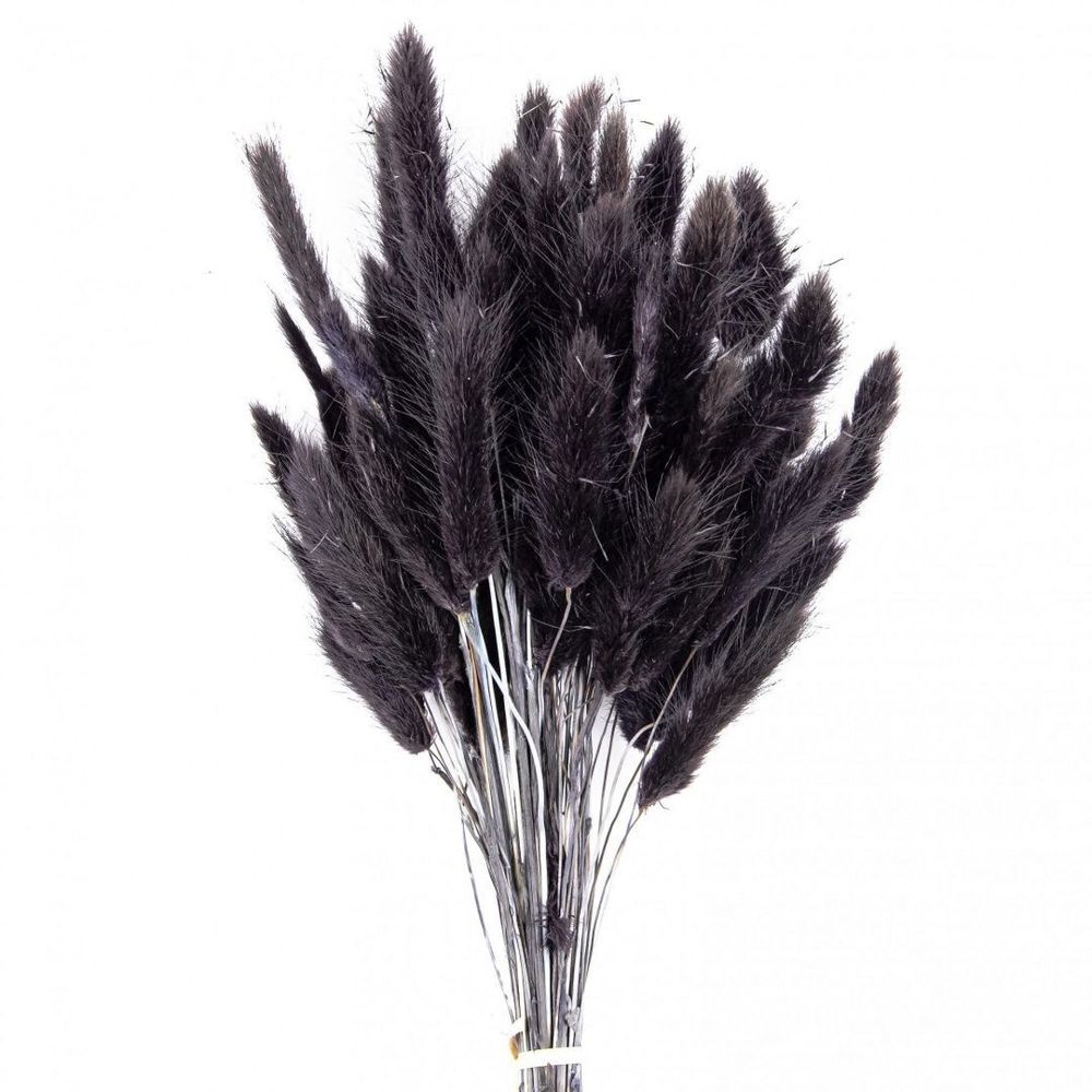 Сухоцветы ЛАГУРУС 65см 34гр ЧЕРНЫЙ