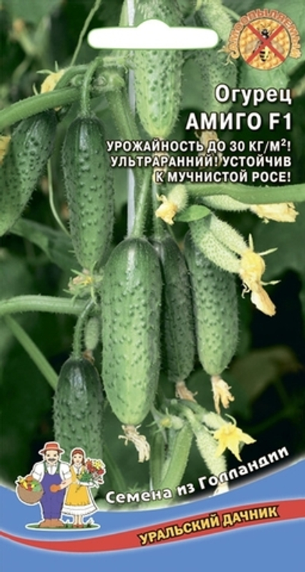 Огурец "G. Амиго F1" 8шт., Нидерланды.