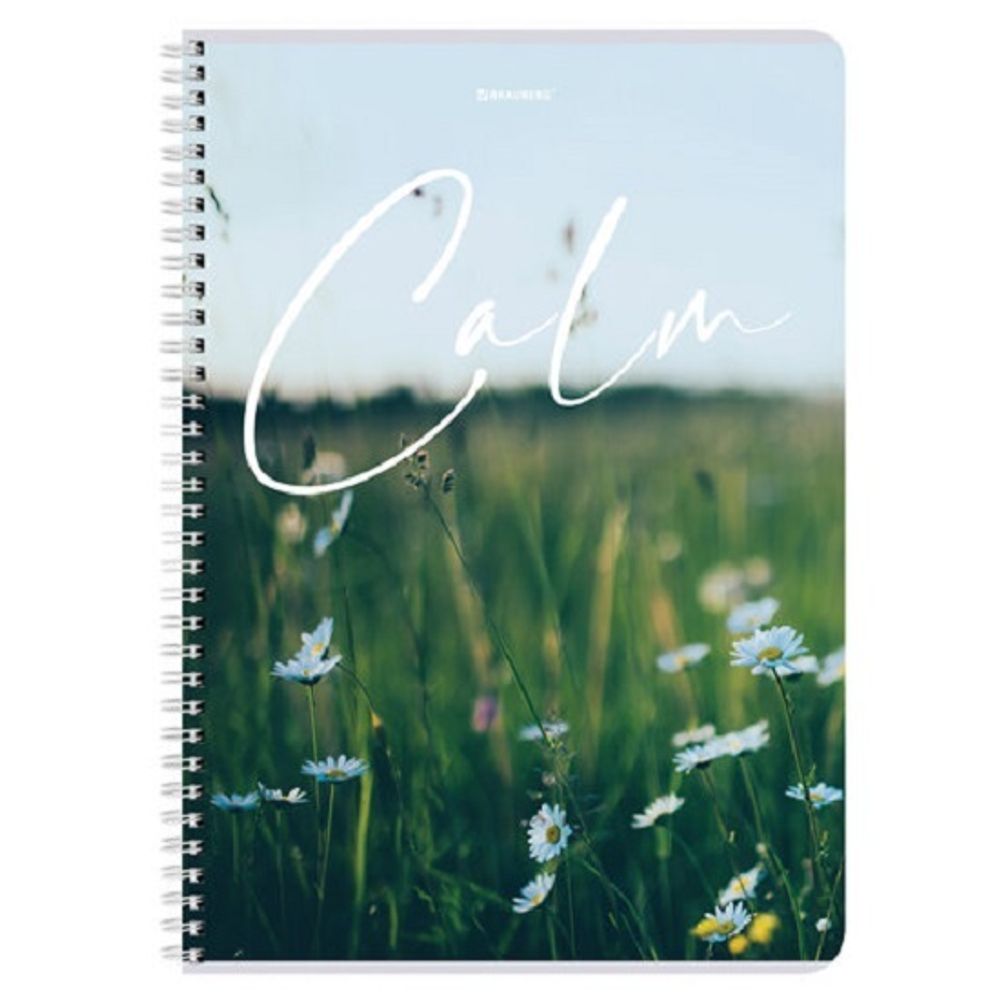 Тетрадь 96л, А4, клетка, на гребне, Brauberg  Calm