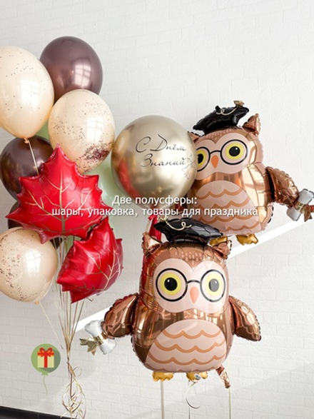 Набор шаров Совушки