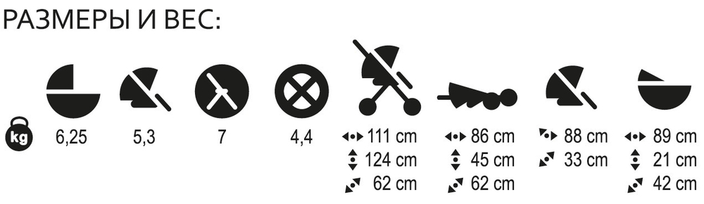 Ines - R11