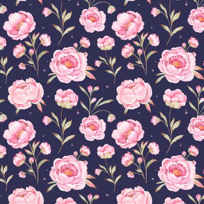 Розовые акварельные пионы на темно-синем фоне