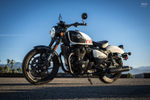 Royal Enfield Shotgun 650 Stencil White (Premium)