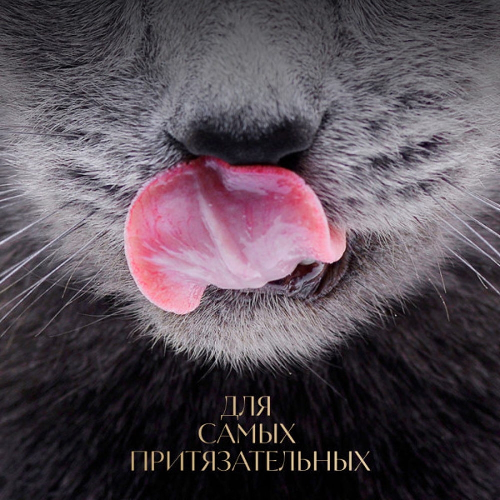 Суп с курицей, 70г влажный корм для кошек Sheba