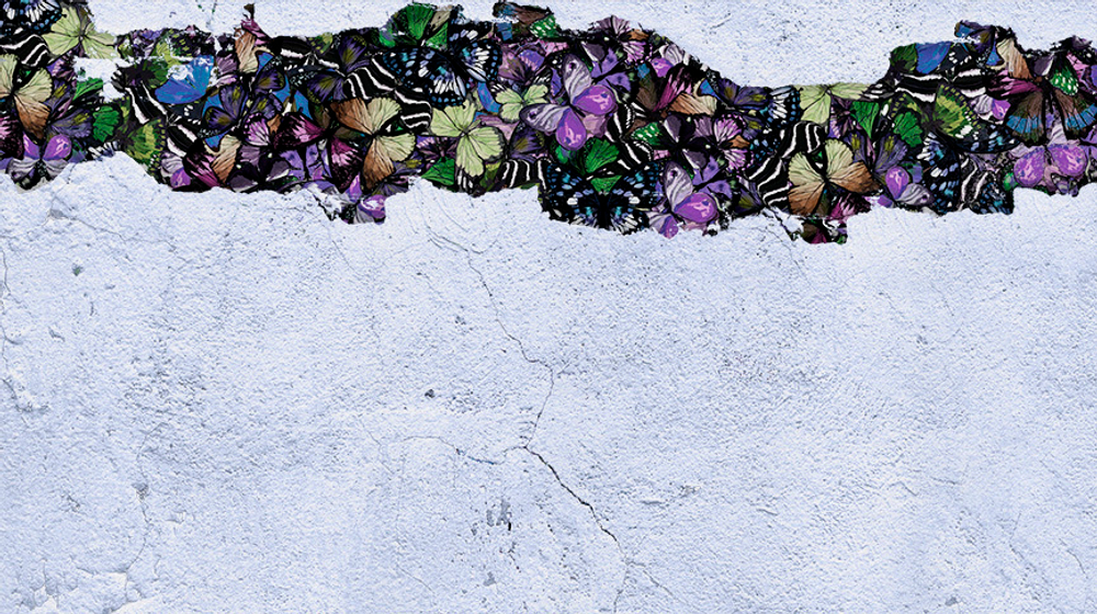 Коллекция WONDERLAND