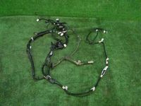 DSCN7619.JPG