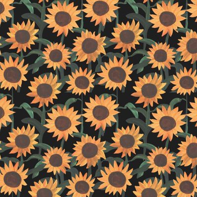 Подсолнухи на черном фоне