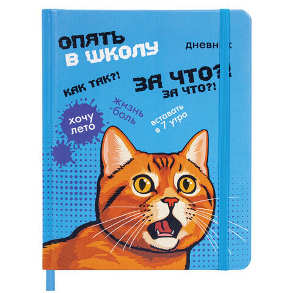 Дневник 1-11 класс 48 л., кожзам (твердая), печать, резинка, конверт, BRAUBERG, "Опять в школу", 107231
