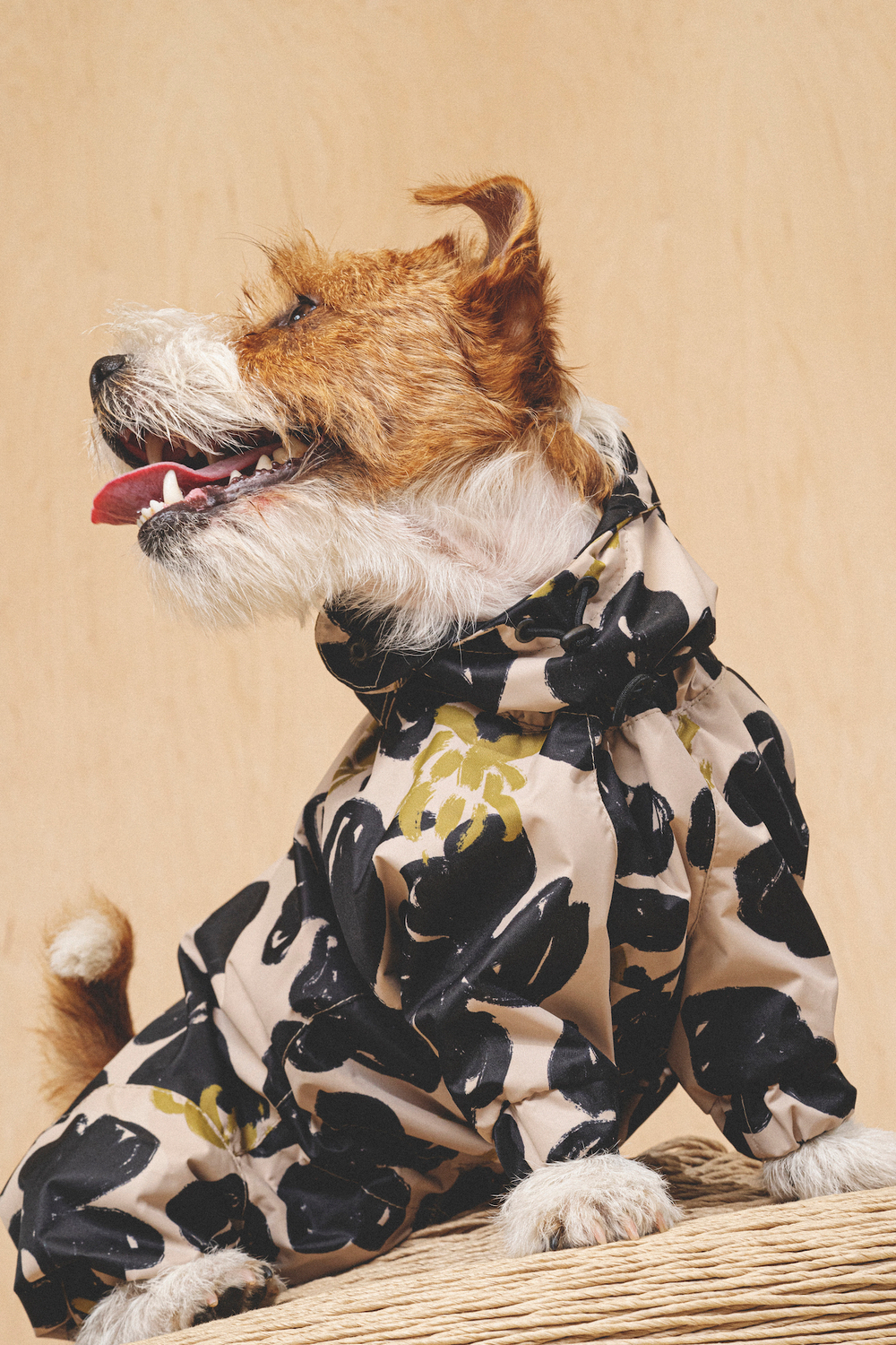 Комбинезон "Пони-комбинезони" принтованный, без утеплителя