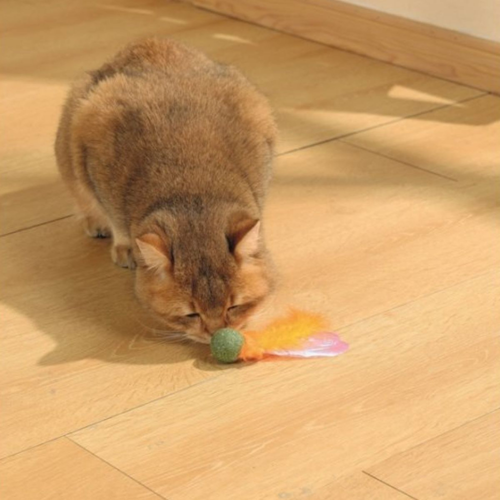 M-PETS Игрушка для кошек с кошачьей мятой CHARMY светлячок, цвет оранжевый
