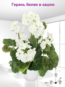 Искусственные цветы Герань белая 30см в кашпо