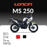 Мотоцикл Loncin MS 250