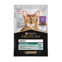 Pro Plan до -13%