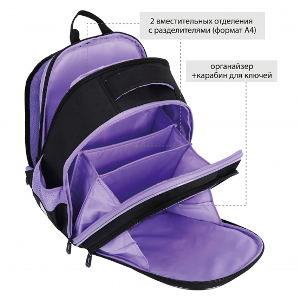 Ранец, спинка эргономичная, 2 отделения, 38*27*16 см, COMFORT Light, Eyes, КОКОС, 230362