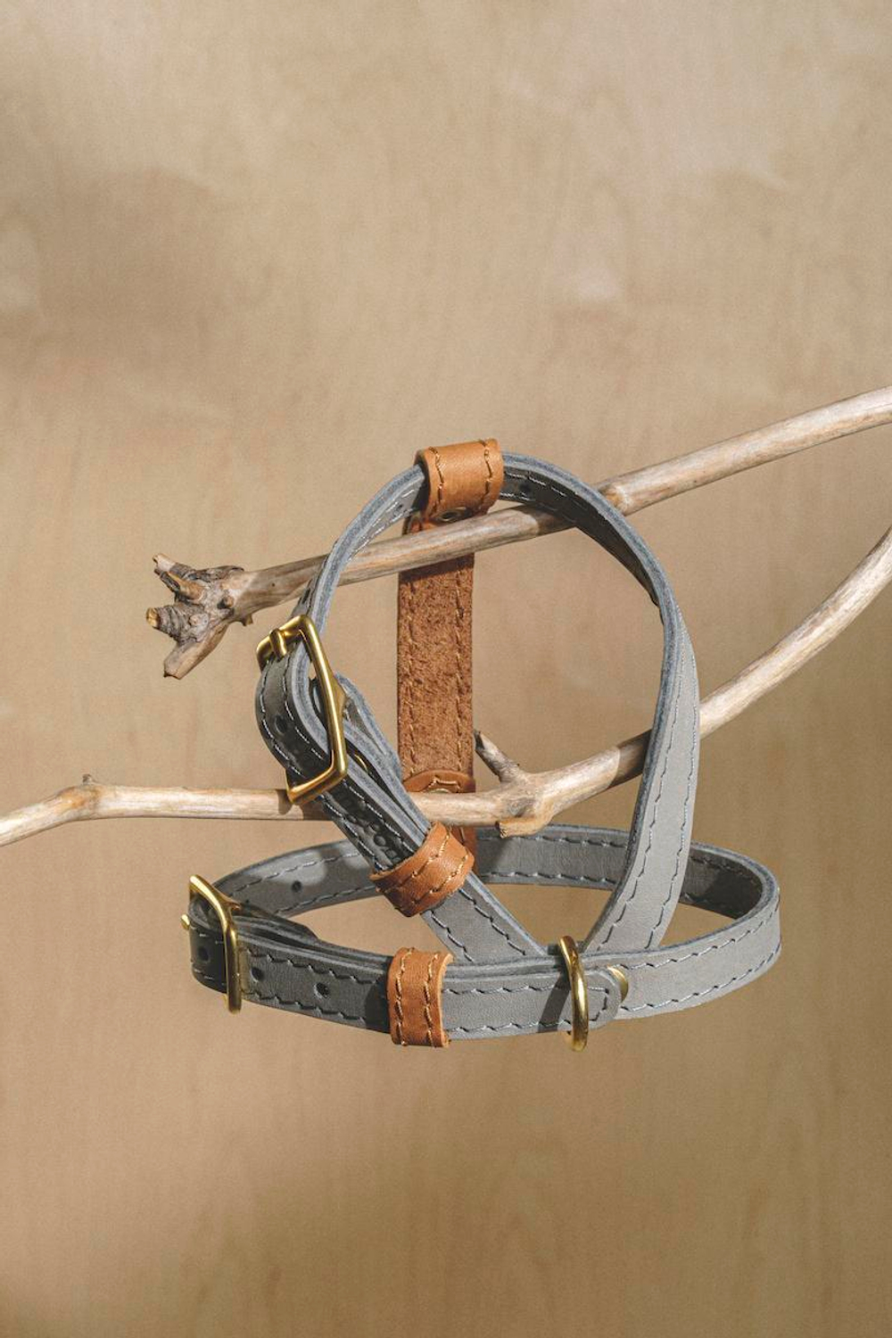 Шлейка "Пони-гулёни" Графит и рыжий