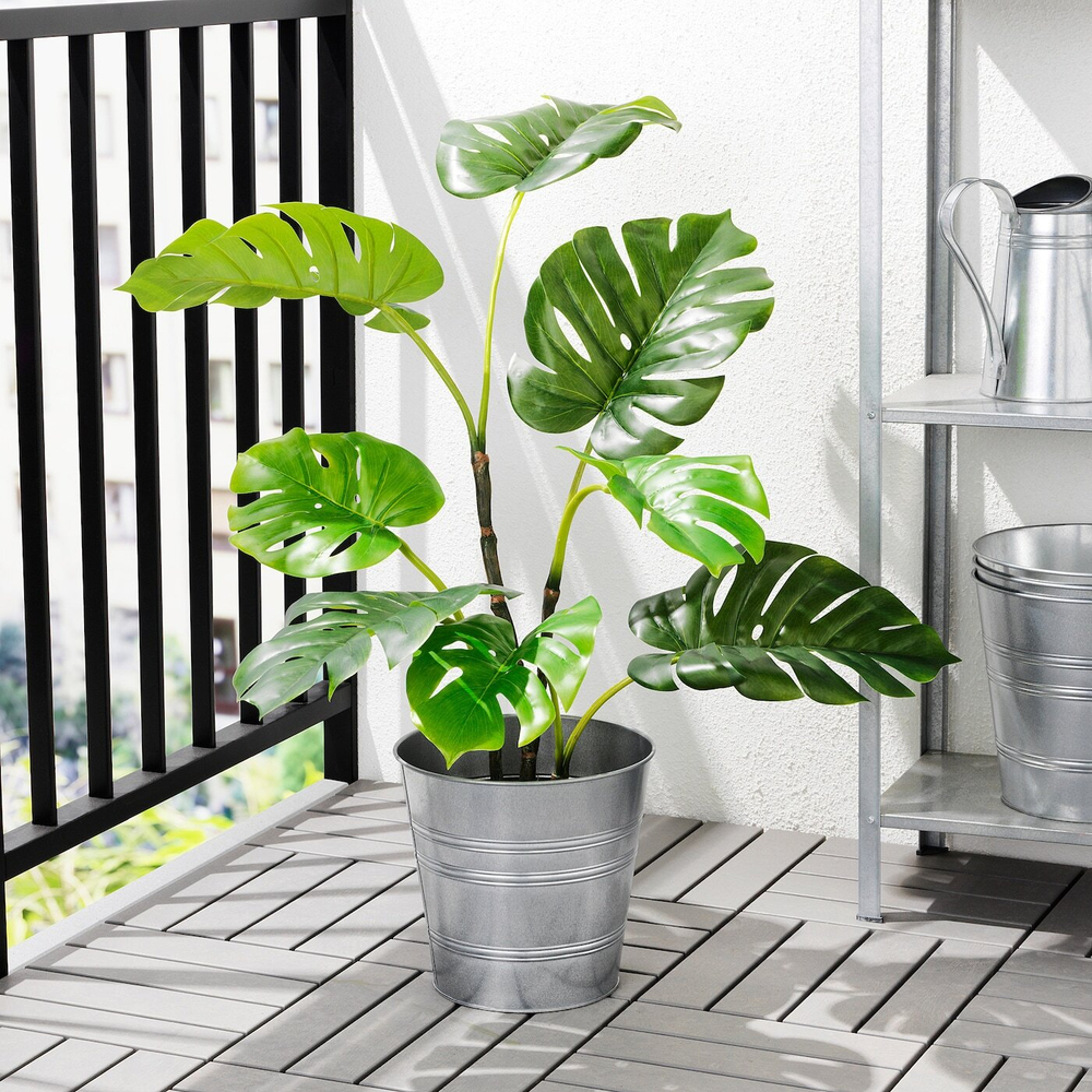 FEJKA Искусственное горшечное растение, комнатное/открытое Monstera, 19 см