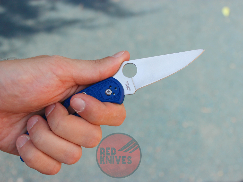 Нож Spyderco Delica BLU C11FBLM