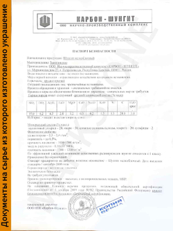 Тотемное животное лев шунгит натуральный камень круглый кулон оберег талисман Карелия