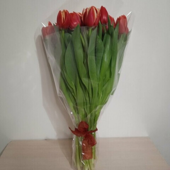 Букет из 15 сортовых пионовидных тюльпанов Дабл Колумбус